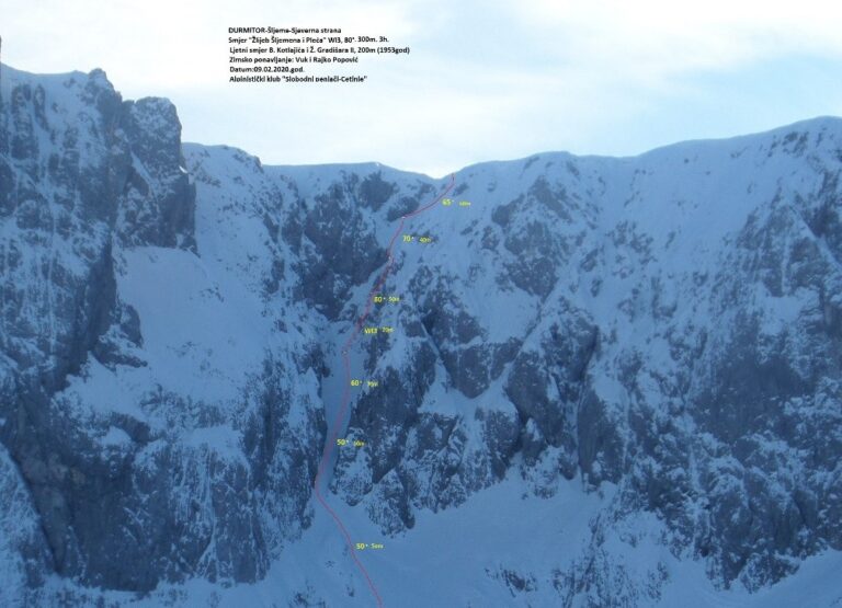 Read more about the article “ŽLIJEB ŠLJEMENA I PLEĆA”